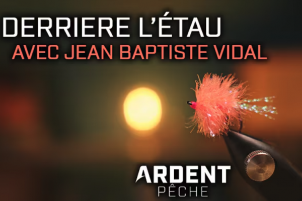 Il blob  diventato rapidamente un must per la pesca in bacino