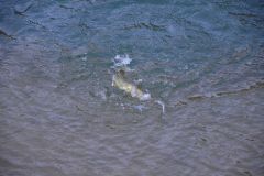 Iniziare a pescare in inverno