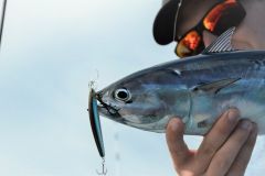 Traina leggera in mare