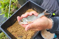 Pesca invernale a feeder