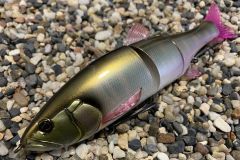 La taglia 180 era molto attesa!