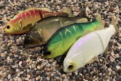 Il Gantarel d'Illex � tornato!