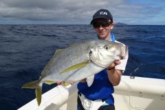 Carangue a denti stretti