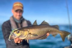 Il Black Minnow da 120 mm di Fiiish ha fatto di nuovo miracoli.