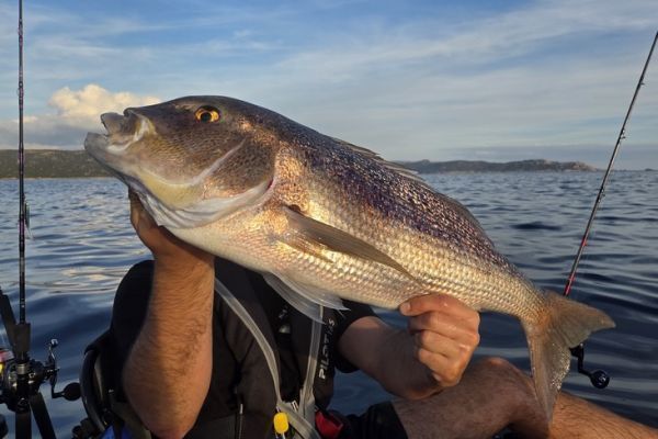 Pesca a palla di fuoco per i denti