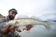 Attrezzatura per la pesca del luccioperca da riva