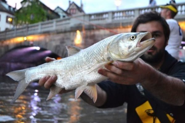 La pesca in strada a Strasburgo, un luogo leggendario per gli aspie