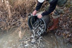 Per cosa vengono utilizzati i soldi dei permessi di pesca?