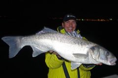 Bar enorme ripreso in barca al tramonto