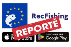 Rinviato il lancio dell'applicazione RecFishing