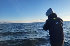 Attrezzatura per la pesca del luccioperca