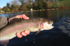 La pesca con il chiro � sempre un'emozione!