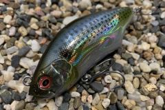 La trappola Hadara viene lanciata da 80 metri!