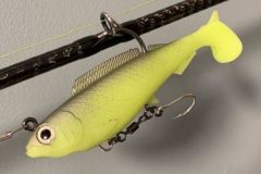 L'HerculeZ � solido!