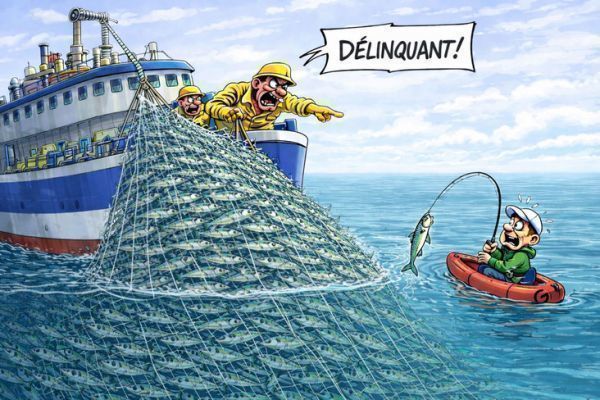 La pesca ricreativa ha raccolto lo 0,65% degli sgombri in Francia nel 2025