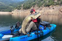 Pesca con i vermi per il pesce gatto