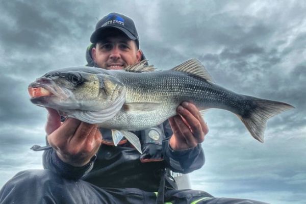 Pesca alla spigola: come iniziare bene la stagione in barca?