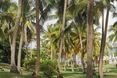 La pesca nelle Antille