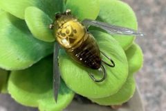 Il nano siglett misura 2,4 cm.