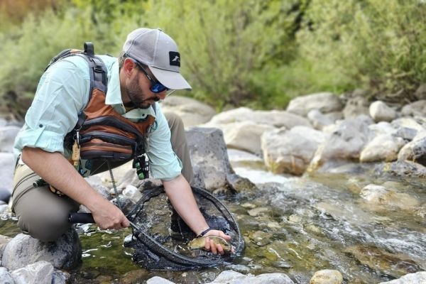 Field and Fish: l'attrezzatura giusta per la pesca alla trota