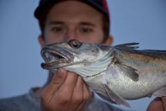 Pesca a grandi profondit�