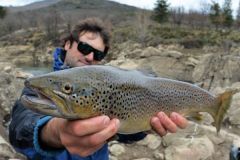 Scegliere l'obiettivo della fotocamera