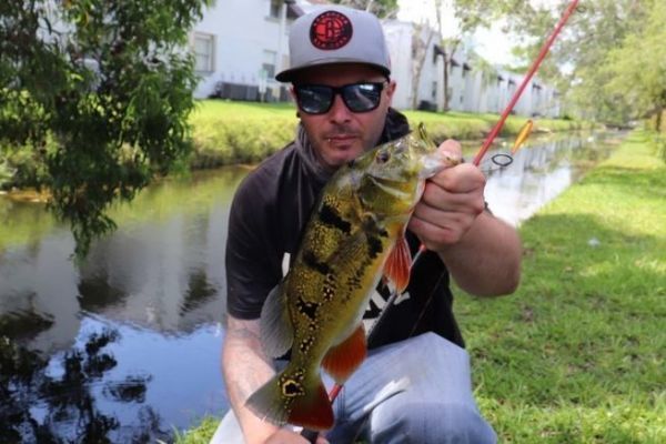 La pesca di strada a Miami: strategia, esplorazione e osservazione