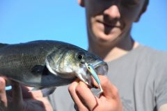 Pesca in mare in primavera