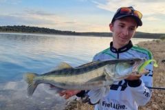 Pesca al lucioperca