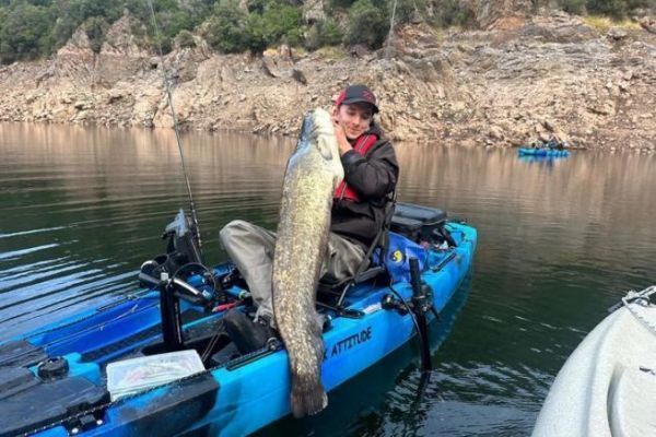 La pesca del siluro con le esche