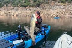 Pesca del siluro con esca viva