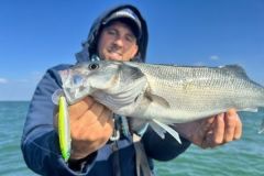 Il Power Tail Shallow: una novit� che ha gi� dimostrato tutta la sua efficacia.