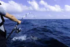 Quali tecniche si utilizzano per la pesca in mare?