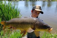 Pesca alla carpa dalla riva