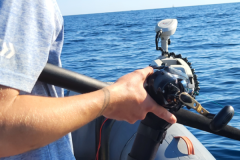 Pesca con il mulinello elettrico