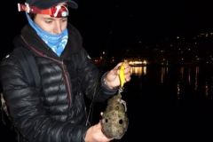 Come scegliere la lampada frontale per la pesca notturna