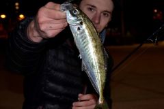 Pesca notturna del pesciolino