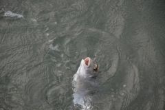 Pesca in mare in autunno