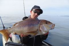 Pesca del dentice con il calamaro