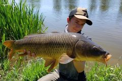 Pesca alla carpa in autunno