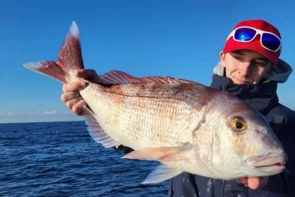 Tecniche di cattura del luccioperca