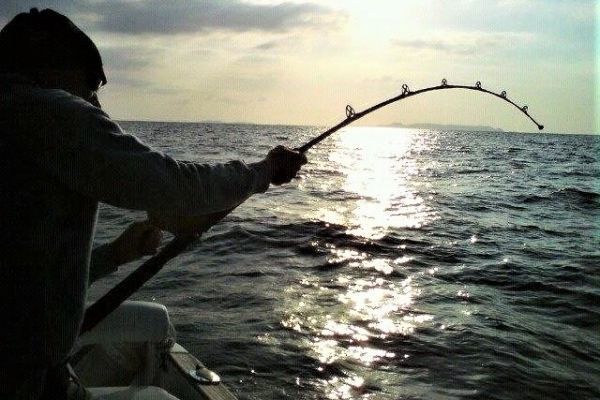 Come iniziare con la pesca alla traina