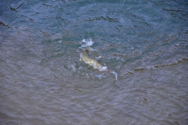 Iniziare a pescare in inverno