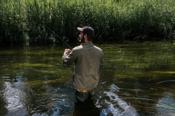 Pesca al cavedano