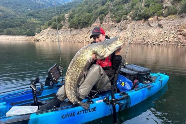Pesca con i vermi per il pesce gatto