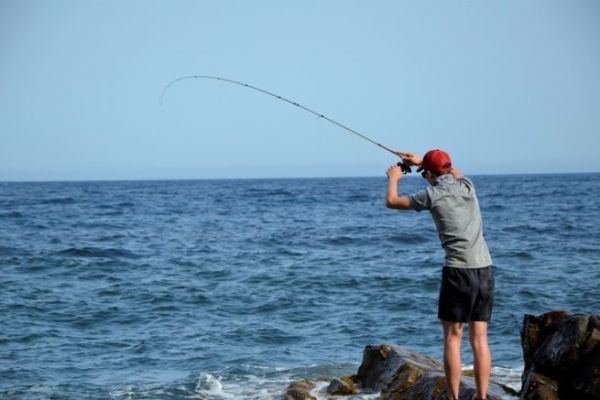 Scoprire la pesca quest'estate