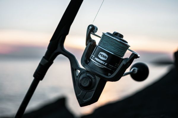 Inseguimento V da Penn