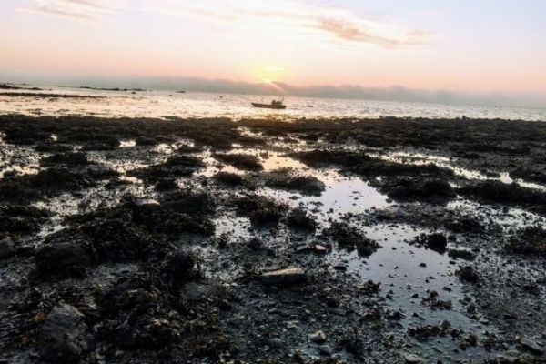 Pescatori a piedi