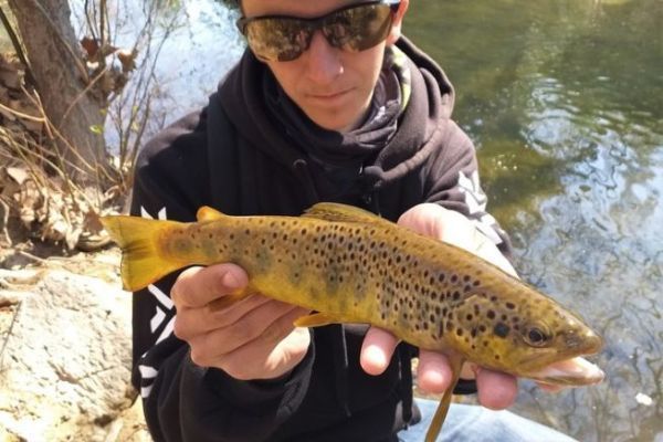Risalire o scendere il fiume per pescare le trote?