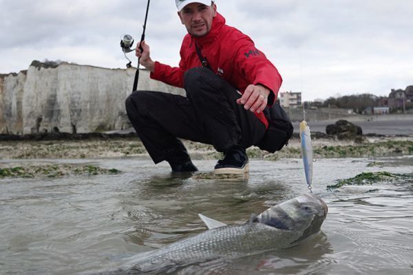 La pesca della spigola  nuovamente autorizzata nel nord-ovest della Francia